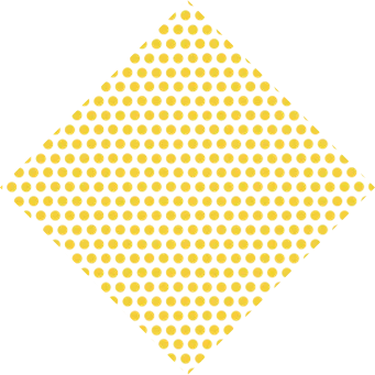 Asset 5